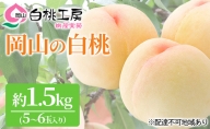 桃茂実苑 岡山 白桃 1.5kg（5～6玉）