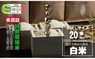 佐賀県認定 特別栽培米 味試し！さがびより20合（３ｋｇ）田中農場 （白米）