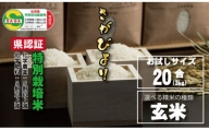 佐賀県認定 特別栽培米 味試し！さがびより20合（３ｋｇ）田中農場 （玄米）