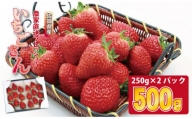 佐賀ブランド苺「いちごさん」合計500g(250g×2セット)凛々 イチゴ