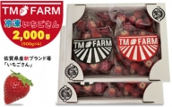 加工用冷凍 苺 佐賀ブランドいちごの（いちごさん）2kg（2,000g）TMファーム