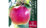 香りも良く食べやすい! 長野県産 りんご(シナノスイート)約5kg 秀品<10月中旬～10月末発送>【1077091】