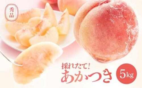 【2026年予約販売】 長野県産 桃 あかつき 秀品 約5kg〈2026年7月中旬～8月中旬発送〉| 桃 もも モモ あかつき 長野県 産地直送 くだもの 果物 フルーツ デザート 送料無料 長野県 飯田市