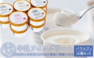 さるふつ牛乳アイスクリーム バラエティ10個セット【03032】