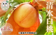 [№5757-0335]桃 白桃 清水白桃 約1.5kg 4～6玉 もも フルーツ 果物 岡山 美咲町産