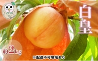 [№5757-0337]桃 白桃 白皇 約2kg 5～8玉 もも フルーツ 果物 岡山 美咲町産