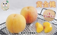 [№5757-0339]桃 黄桃 黄金桃 約2kg 5～8玉 もも フルーツ 果物 岡山 美咲町産