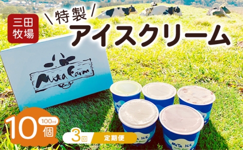【3ヵ月定期便】アイス 三田牧場 特製 アイスクリーム 10個 セット ミルク チョコレート いちごミルク ラムレーズン 抹茶 お菓子 959857 - 北海道共和町