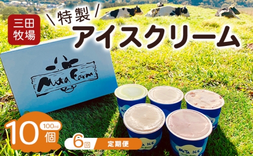 【6ヵ月定期便】アイス 三田牧場 特製 アイスクリーム 10個 セット ミルク チョコレート いちごミルク ラムレーズン 抹茶 お菓子 959858 - 北海道共和町
