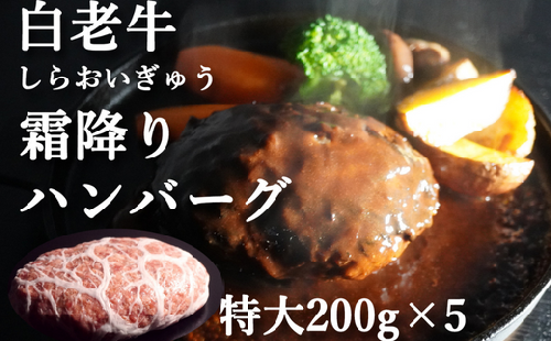 道産和牛ハンバーグ（200g）5個入り 【 ふるさと納税 人気 おすすめ ランキング 北海道産 和牛 ハンバーグ 肉 牛肉 和牛ハンバーグ 牛ハンバーグ 肉厚 デミグラス セット 大容量 詰合せ 北海道 室蘭市 送料無料 】 MROA045 959992 - 北海道室蘭市