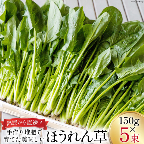 【BH009】ほうれん草 150g×5束 960016 - 長崎県島原市