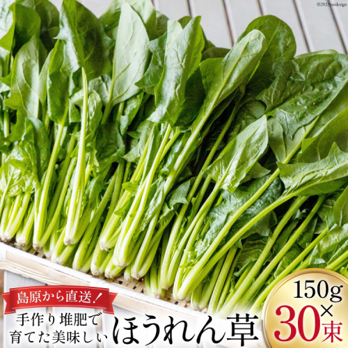 CH011 ほうれん草 150g×30束[ホウレンソウ 野菜] 960020 - 長崎県島原市