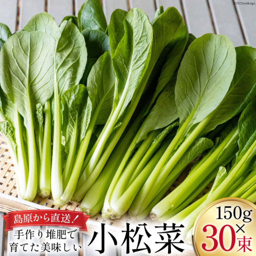 CH014 小松菜 150g×30束 960021 - 長崎県島原市