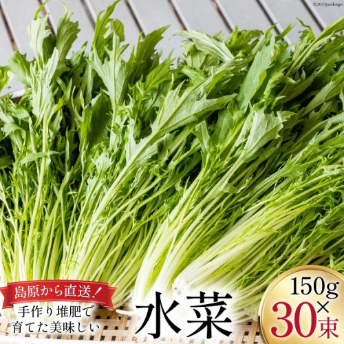【BH017】水菜 150g×30束 960022 - 長崎県島原市