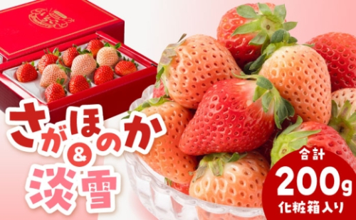 【先行予約 2027年1月～発送】淡雪＆さがほのか 赤白いちごセット計200g（化粧箱入り）【岸川農園】淡雪 さがほのか 苺 いちご 苺 果物 イチゴ 苺 ichigo strawberry ストロベリー 旬 フルーツ いちご ベリー 佐賀県産 [IAP031] 960095 - 佐賀県白石町