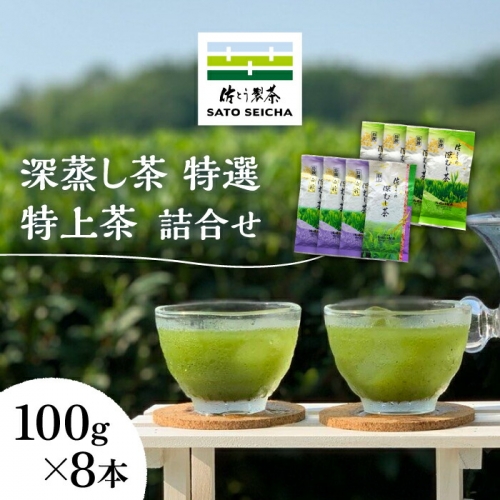 数量限定】深蒸し茶 特選 ・ 特上茶 詰合せ 100g×8本セット 【有限会社