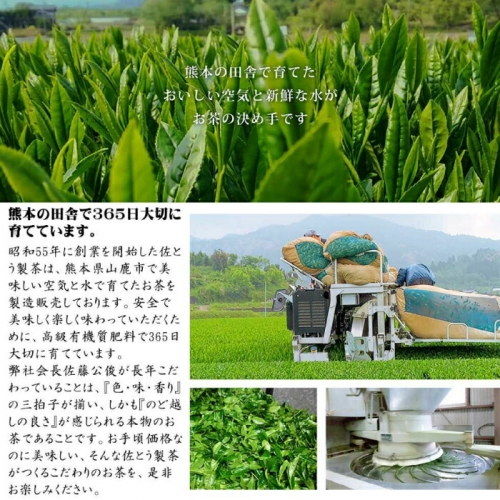 数量限定】深蒸し茶 特選 ・ 特上茶 詰合せ 100g×8本セット 【有限会社