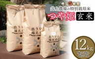 【令和5年産】 井上農場の特別栽培米つや姫【玄米】12kg（5㎏×2袋＋2kg×1袋） B15-001