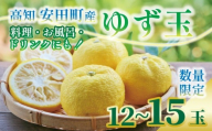 安田町産 ゆず玉 料理にお酒にお風呂にどうぞ 期間限定 ゆず 12-15玉 柚子 果物 柑橘 フルーツ スイーツ デザート アレンジ 柚子風呂 ゆず風呂 柚子湯 早期予約 季節限定 ふるさと納税 人気 高知 安田町 TR-26