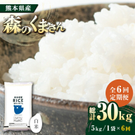 【全6回定期便】   森のくまさん 白米 5kg【株式会社  農産ベストパートナー】 [ZBP026]