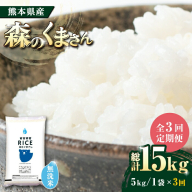 【全3回定期便】  森のくまさん 無洗米 5kg【株式会社  農産ベストパートナー】 [ZBP036]