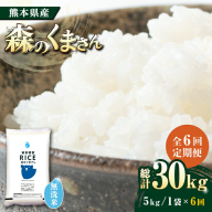【全6回定期便】  森のくまさん 無洗米 5kg【株式会社  農産ベストパートナー】 [ZBP037]