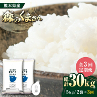 【全3回定期便】   森のくまさん 白米 10kg(5kg×2袋)【株式会社  農産ベストパートナー】 [ZBP055]