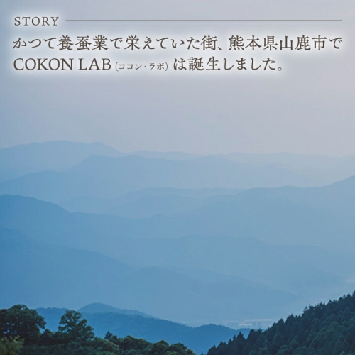 全4回定期便】COKONLAB ハンド＆ボディウォッシュ・ローション ブラン