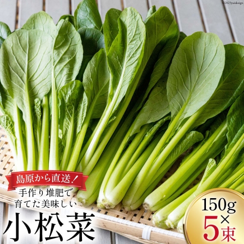 【BH012】小松菜 150g×5束 961174 - 長崎県島原市