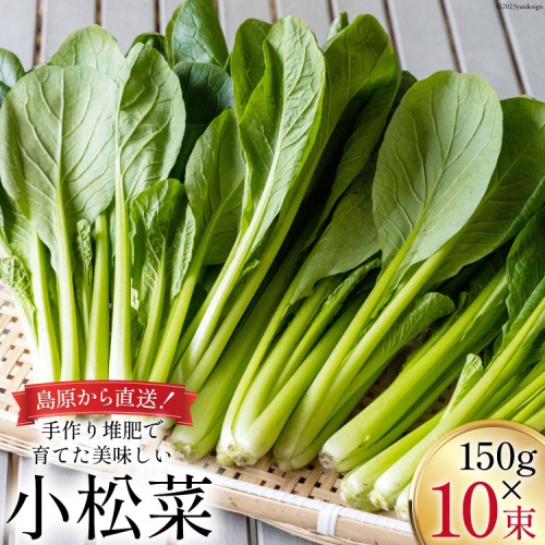 【BH013】小松菜 150g×10束 961175 - 長崎県島原市