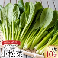 【BH013】小松菜 150g×10束