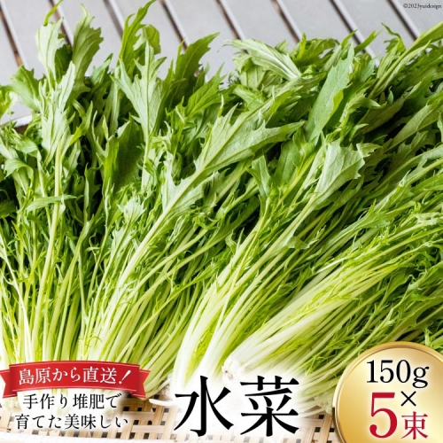 【BH015】水菜 150g×5束 961177 - 長崎県島原市