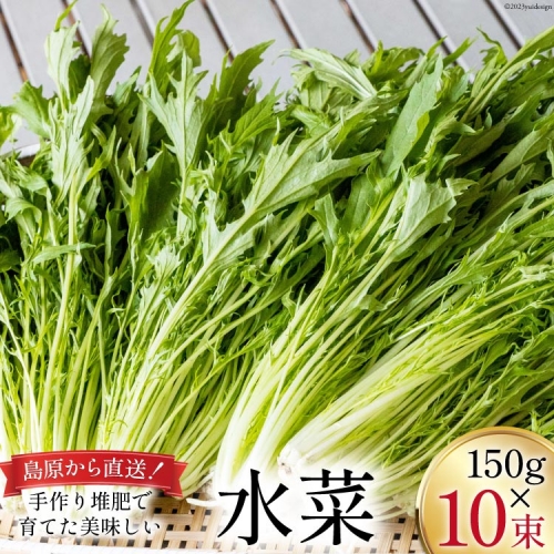 【BH016】水菜 150g×10束 961178 - 長崎県島原市