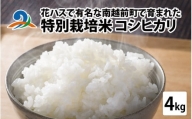 令和5年度産 特別栽培米 コシヒカリ 4kg