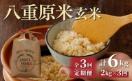 【3回定期便】八重原米2kg（2kg×1袋）玄米