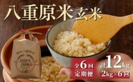 【6回定期便】八重原米2kg（2kg×1袋）玄米