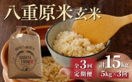 【3回定期便】八重原米5kg（5kg×1袋）玄米