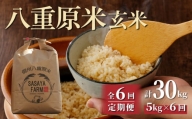 【6回定期便】八重原米5kg（5kg×1袋）玄米