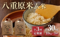 【3回定期便】八重原米10kg（5kg×2袋）玄米