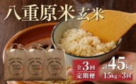 【3回定期便】八重原米15kg（5kg×3袋）玄米
