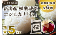 【定期便6ヶ月毎月お届け】新潟産コシヒカリ「伝」白米真空パック 精米5kg 南麻布の高級料亭で提供される極上米 かやもり農園 定期便