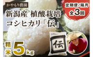 【定期便3回隔月お届け】新潟産コシヒカリ「伝」白米真空パック 精米5kg 南麻布の高級料亭で提供される極上米 かやもり農園 定期便