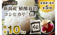 【定期便5ヶ月毎月お届け】新潟産コシヒカリ「伝」白米真空パック 精米10kg（5kg×2）南麻布の高級料亭で提供される極上米 かやもり農園 定期便