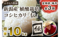 【定期便3回隔月お届け】新潟産コシヒカリ「伝」 真空パック 精米 10kg（5kg×2）南麻布の高級料亭で提供される極上米 かやもり農園 新潟県 加茂市産 白米 米 お米 定期便