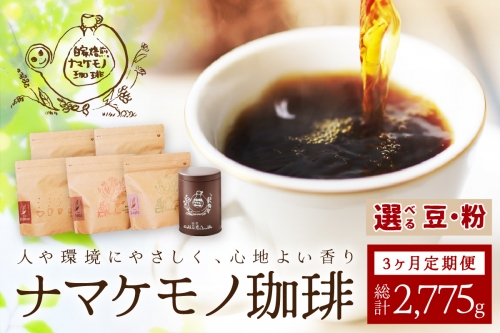 スローな浜田で焙煎をした珈琲（９２５g×3回の定期便） 定期便 3回 コーヒー コース 定期便 ドリップ 自家焙煎 こだわり バレンタイン ホワイトデー 豆 粉 自家焙煎【535】 963022 - 島根県浜田市