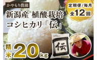 【定期便12ヶ月毎月お届け】新潟産コシヒカリ「伝」白米真空パック 精米20kg（5kg×4）南麻布の高級料亭で提供される極上米 かやもり農園 定期便