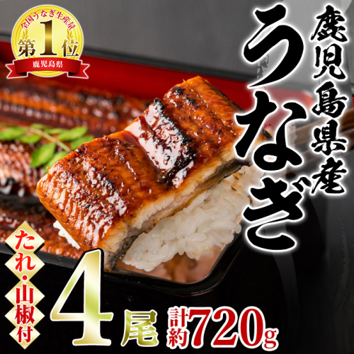 【27034】東串良町のうなぎ蒲焼(無頭)(4尾・計約720g・タレ、山椒付)うなぎ 高級 ウナギ 鰻 国産 蒲焼 蒲焼き たれ 鹿児島 ふるさと 人気【アクアおおすみ】 96322 - 鹿児島県東串良町