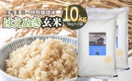 【令和6年産先行予約】 富樫農園の特別栽培米はえぬき 玄米10kg(5kg×2袋) 山形県鶴岡市産　A26-004