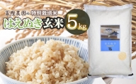 【令和6年産先行予約】 富樫農園の特別栽培米はえぬき玄米5kg 山形県鶴岡市産　X01-002