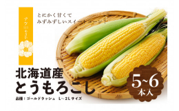 ◎R7年収穫分「ナツやさい」ブランドの8月の旬 トウモロコシ5〜6本※天候などの影響や育成具合により、サイズ・本数が変動する場合があります。品種は、一粒一粒が黄金のように輝く「ゴールドラッシュ」。粒皮